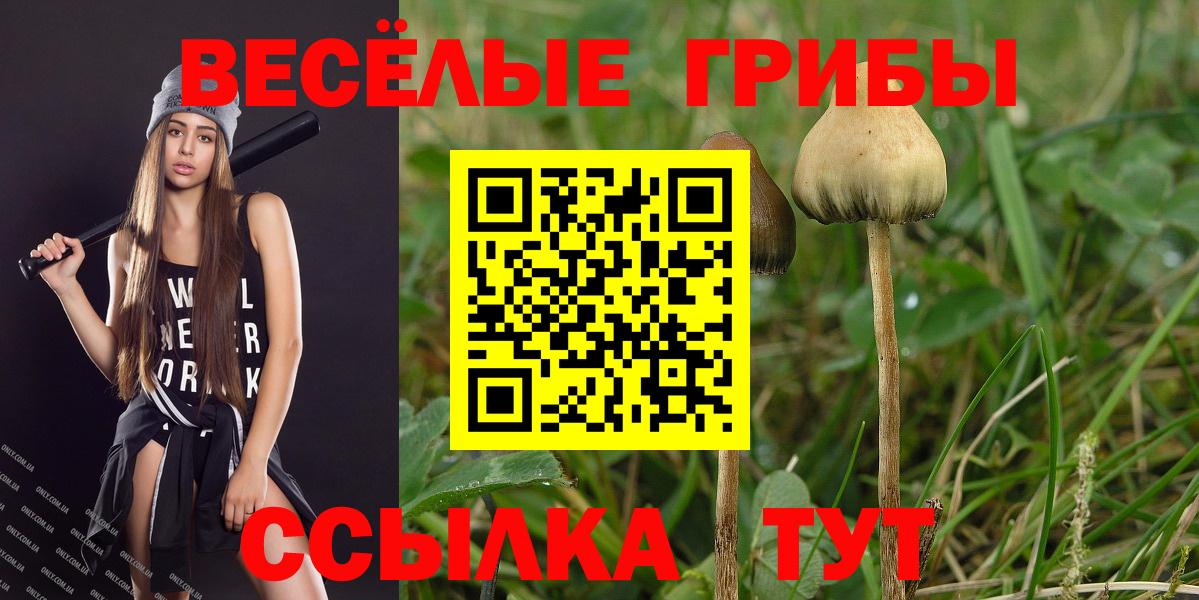 Кировск  Галлюциногенные грибы GOLDEN TEACHER  Вход с VPN  Галлюциногенные грибы Cubensis 