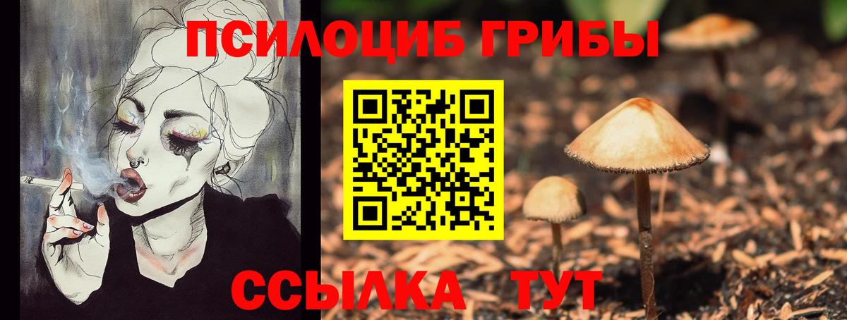 Галлюциногенные грибы мицелий Кировск