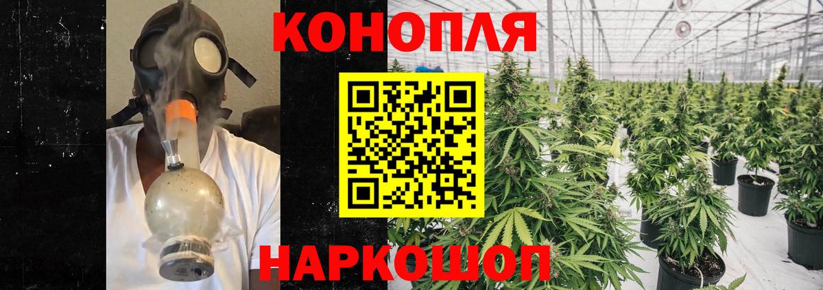 МАРИХУАНА SATIVA & INDICA Кировск